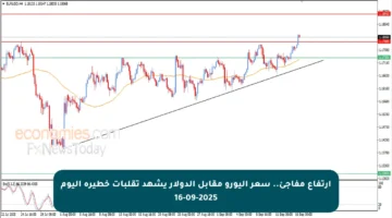 ارتفاع مفاجئ.. سعر اليورو مقابل الدولار يشهد تقلبات خطيرة اليوم 16-09-2025
